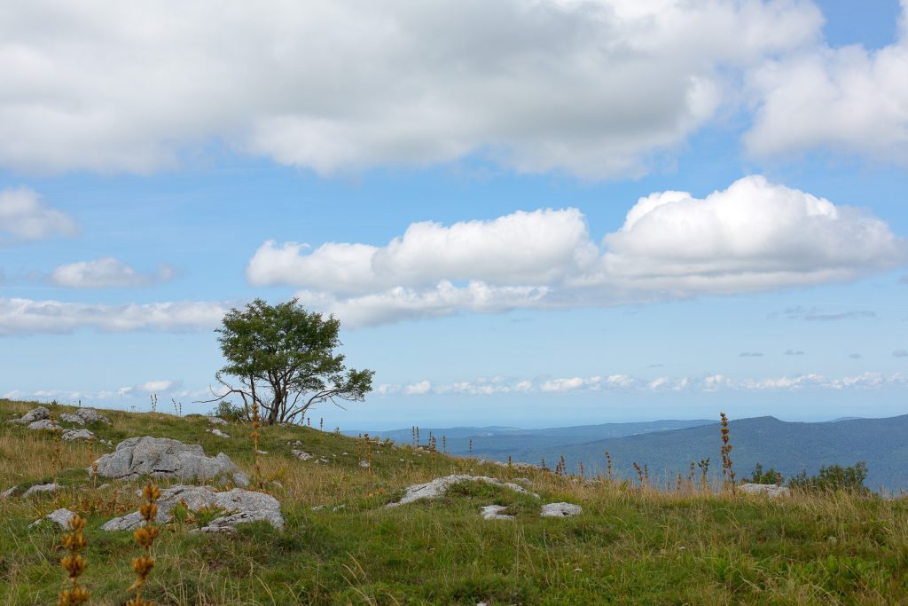 Rando photo au grand Colombier