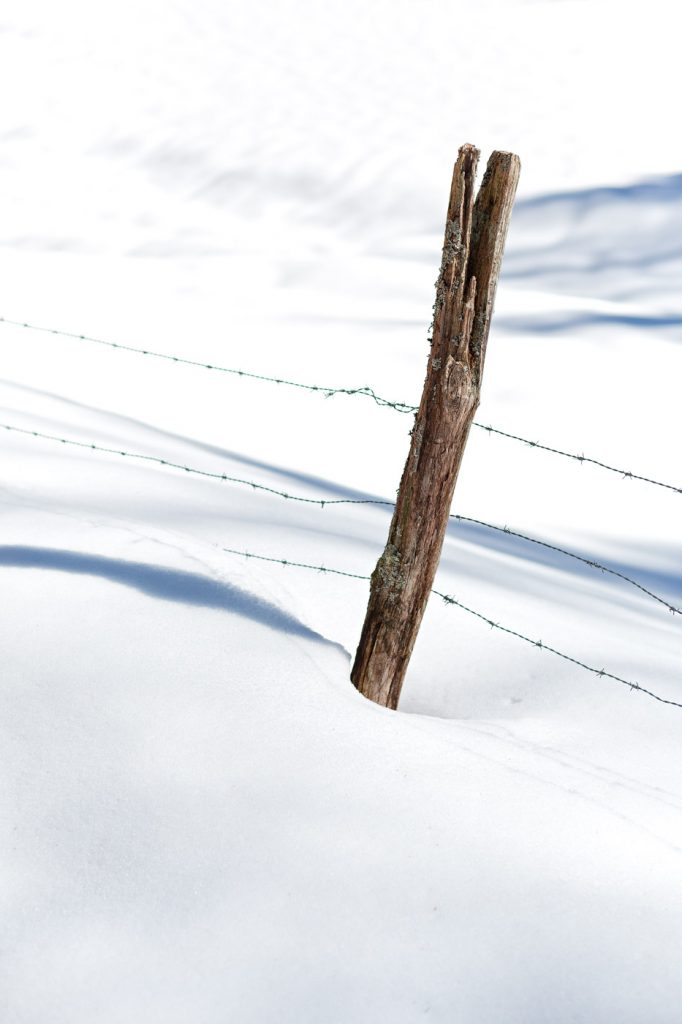 Clôture sous la neige