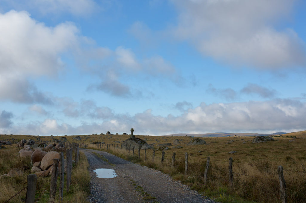 Paysage des Monts d'Aubrac