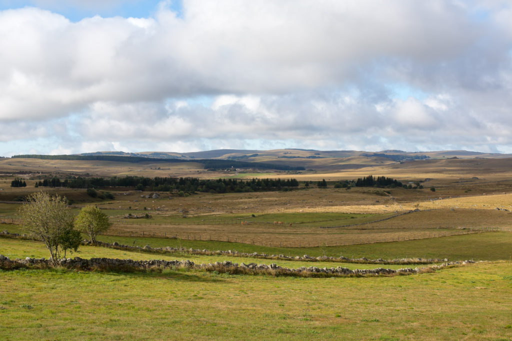 Monts d'Aubrac - Paysage