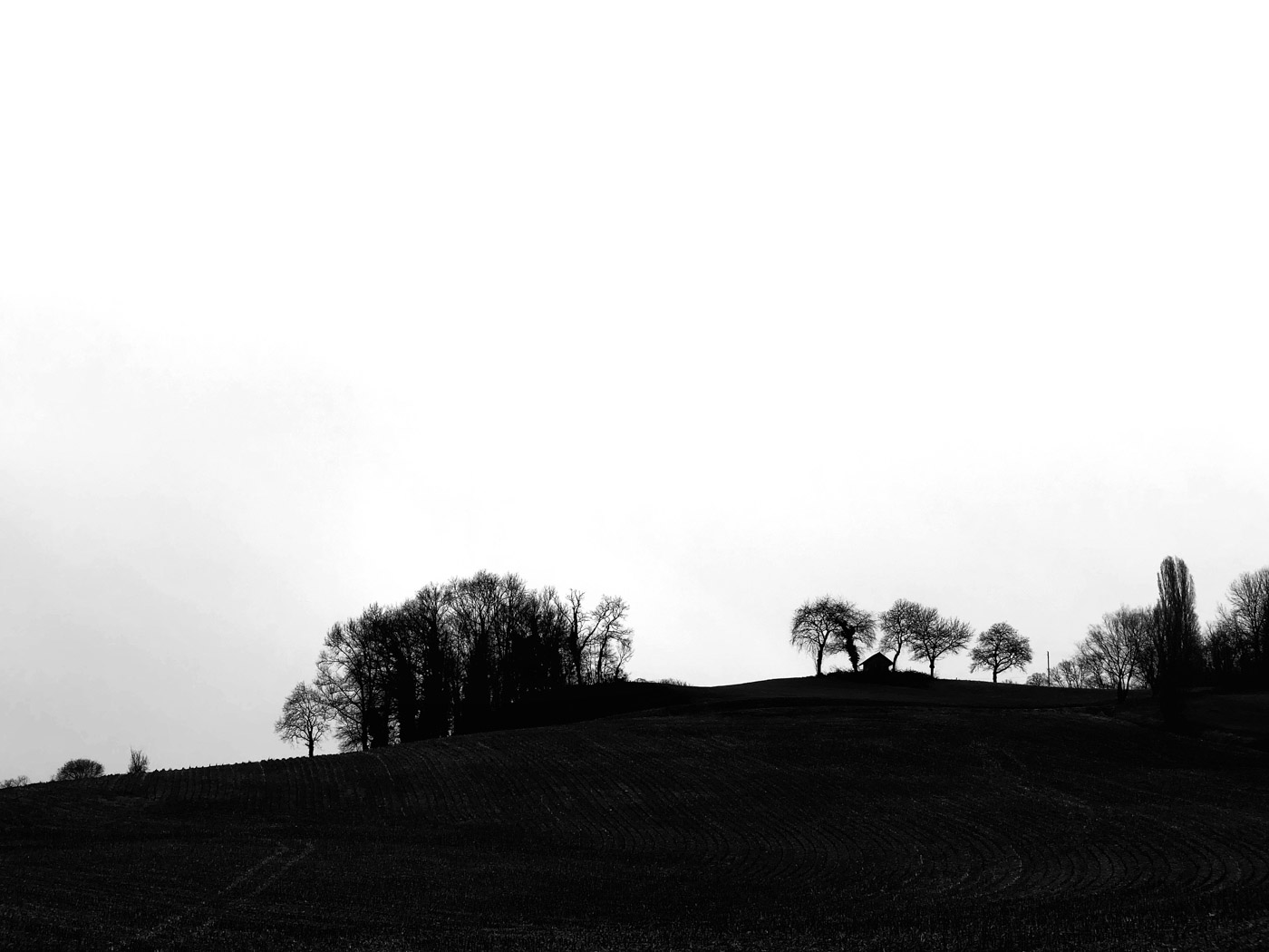 Projet 365 2018 - Paysage en noir et blanc 