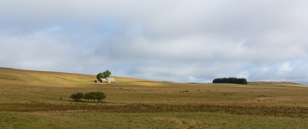 Randonnée en Aubrac - Paysage d'Aubrac