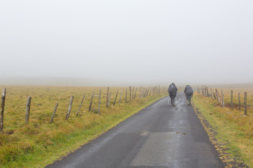 Randonnée en Aubrac - Sur les routes de l'Aubrac