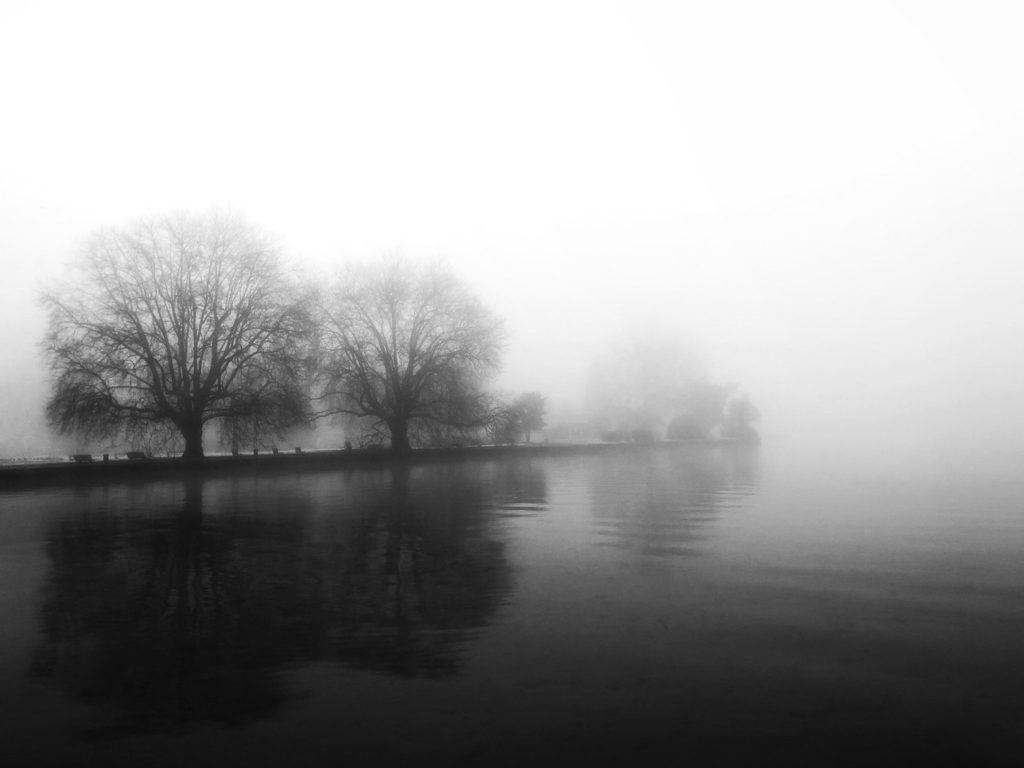 Projet photos 365 - 2018 - Bord du lac d'Annecy dans le brouillard