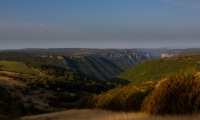 Plateau du causse - Canon EOS 5D Mark III - EF 50 mm f/1,4 USM - ISO 100 - f/11 - 1/250 s