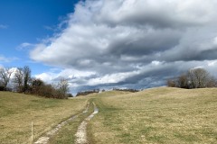 Montagne de Cessens - iPhone XS Max - ISO 16 - f/2,4 - 1/1500 s