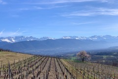 Chaine de Belledonne depuis les vignes de Chignin - iPhone XS Max - ISO 16 - f/2,4 - 1/2000 s