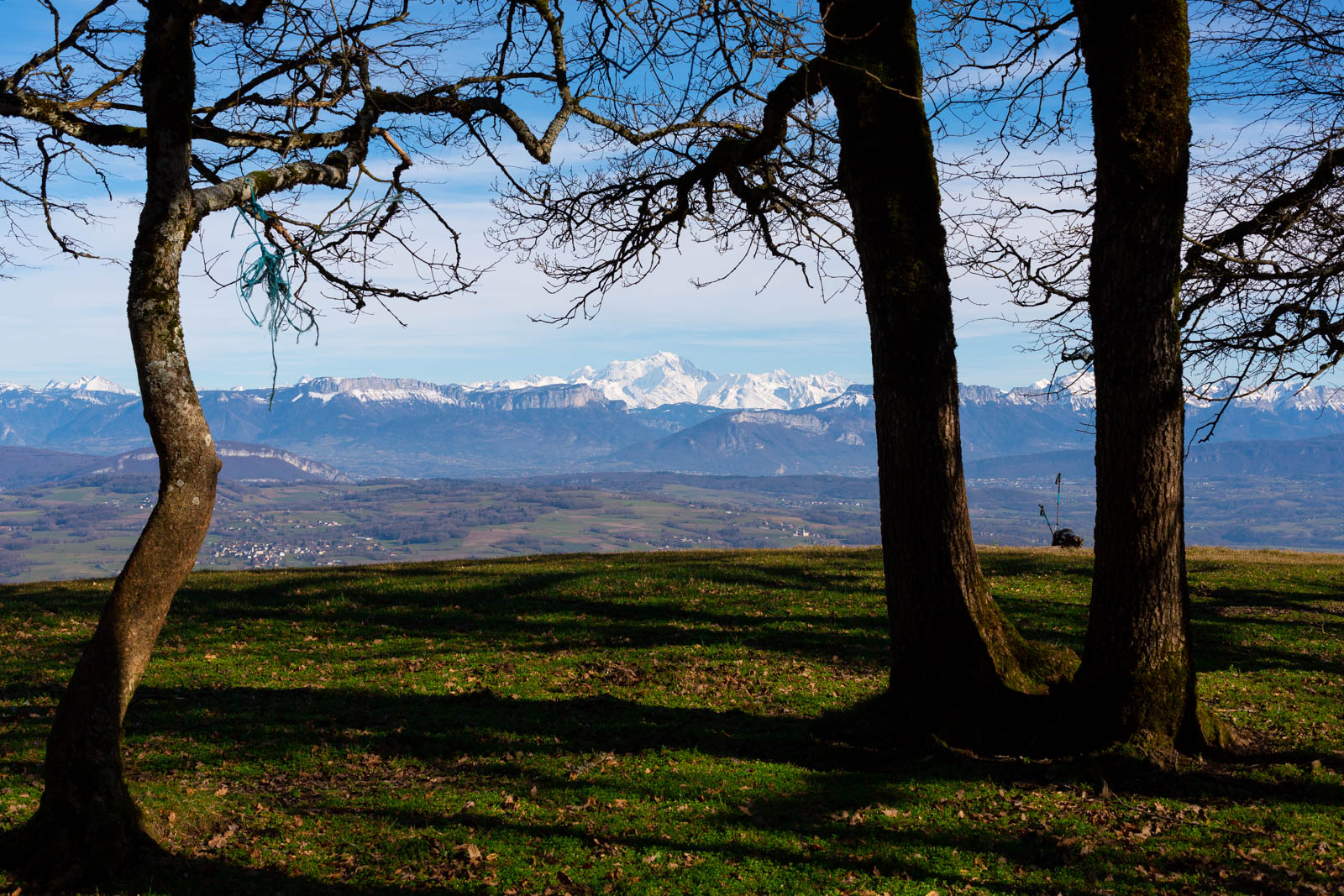 Le Mont-Blanc à travers les arbres - Canon EOS 5D Mark III - EF 50 mm f/1,4 USM - ISO 100 - f/11 - 1/320 s