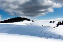 Paysage sur la Montagne du Semnoz - Canon EOS 5D Mark III - EF 50mm f/1,4 USM - ISO 200 - f/11 - 1/1250 s