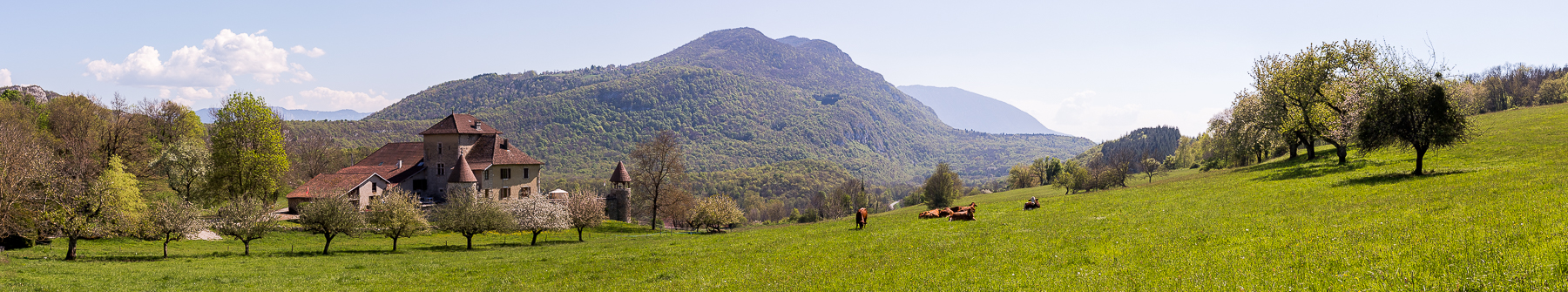 Panoramique campagnard