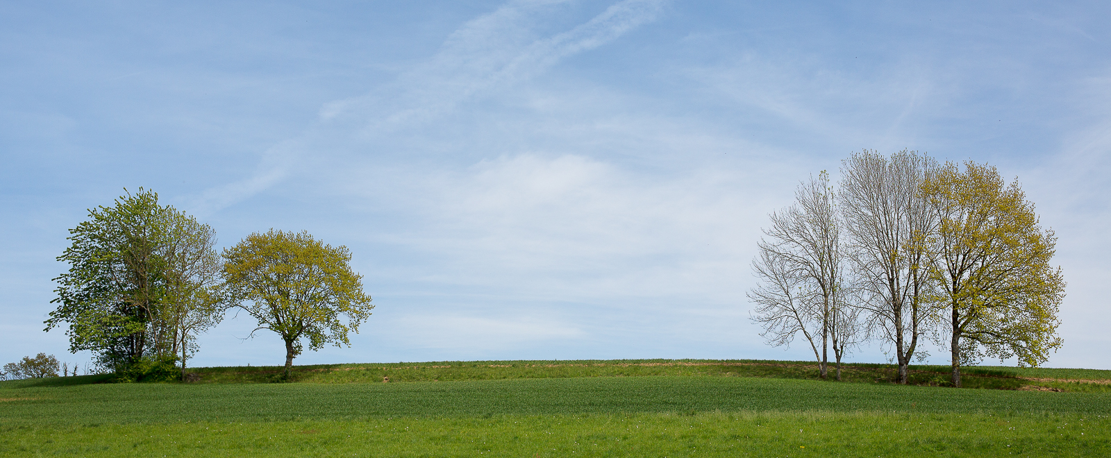 Paysage savoyard