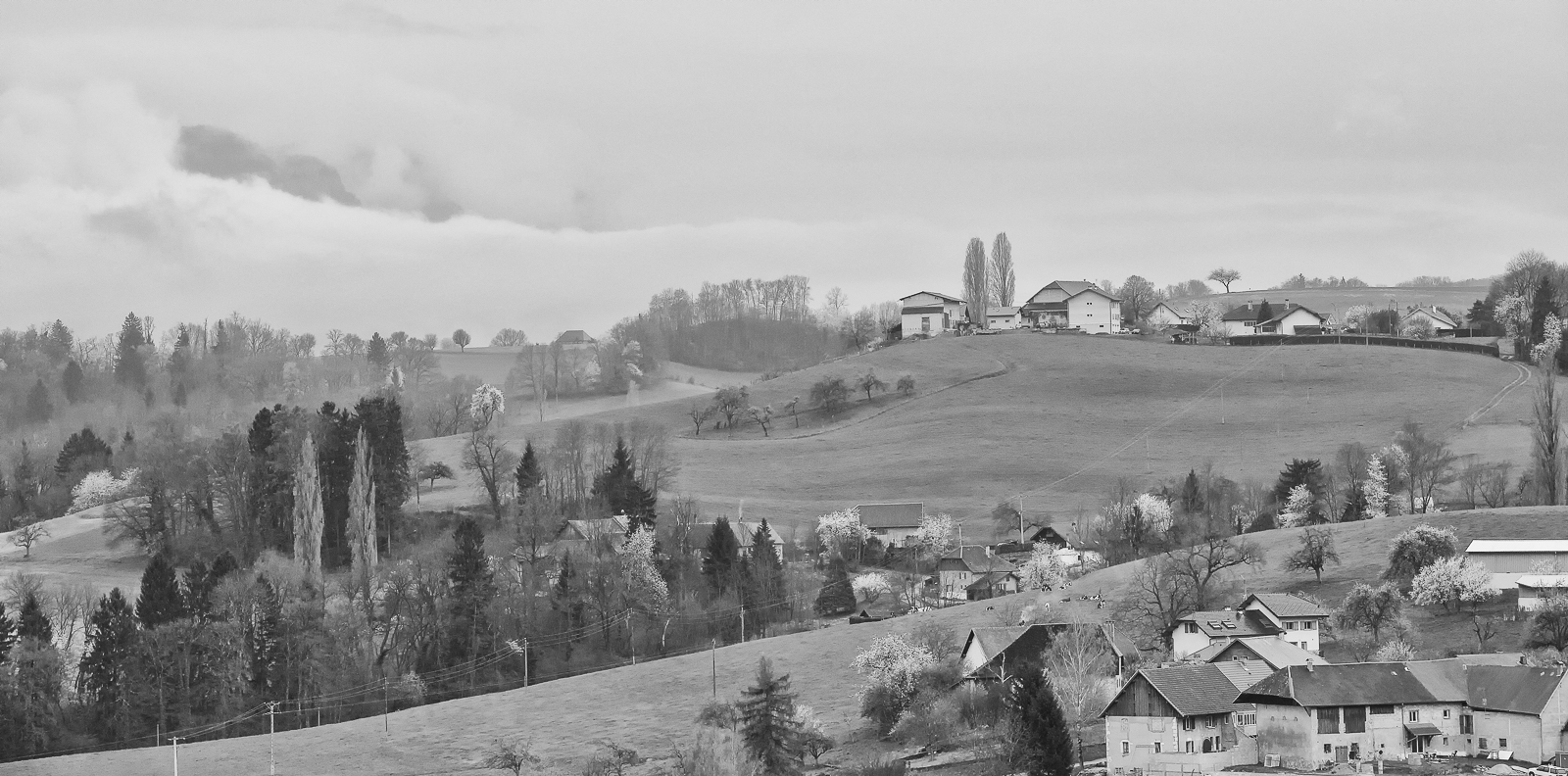 Paysage en noir et blanc