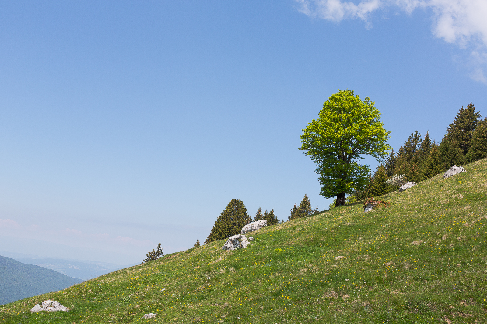 Paysage des Bauges