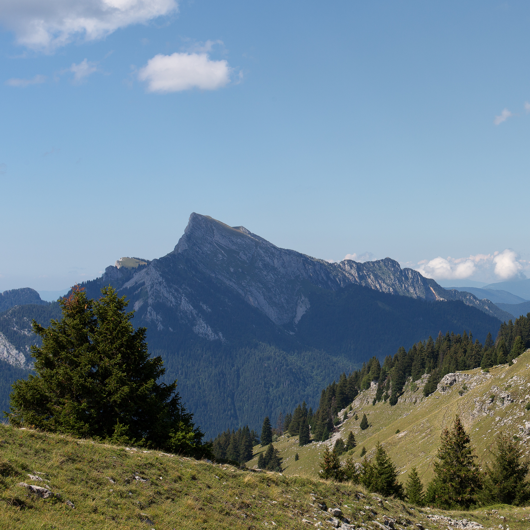 Col de Pravouta en Chartreuse