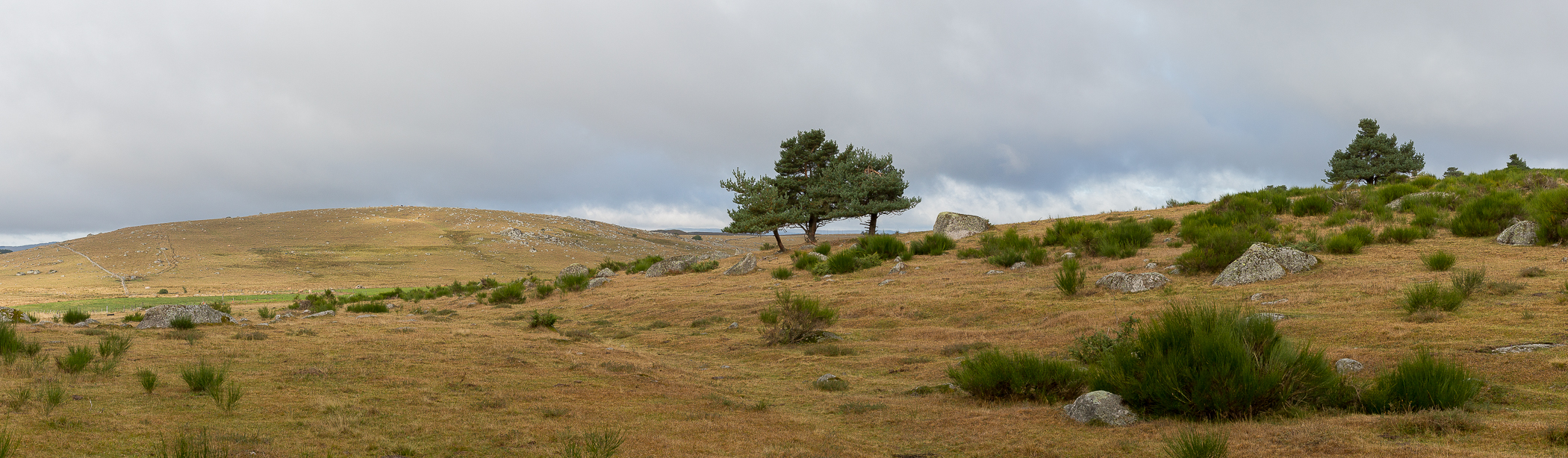 Panoramique plateau de l'Aubrac