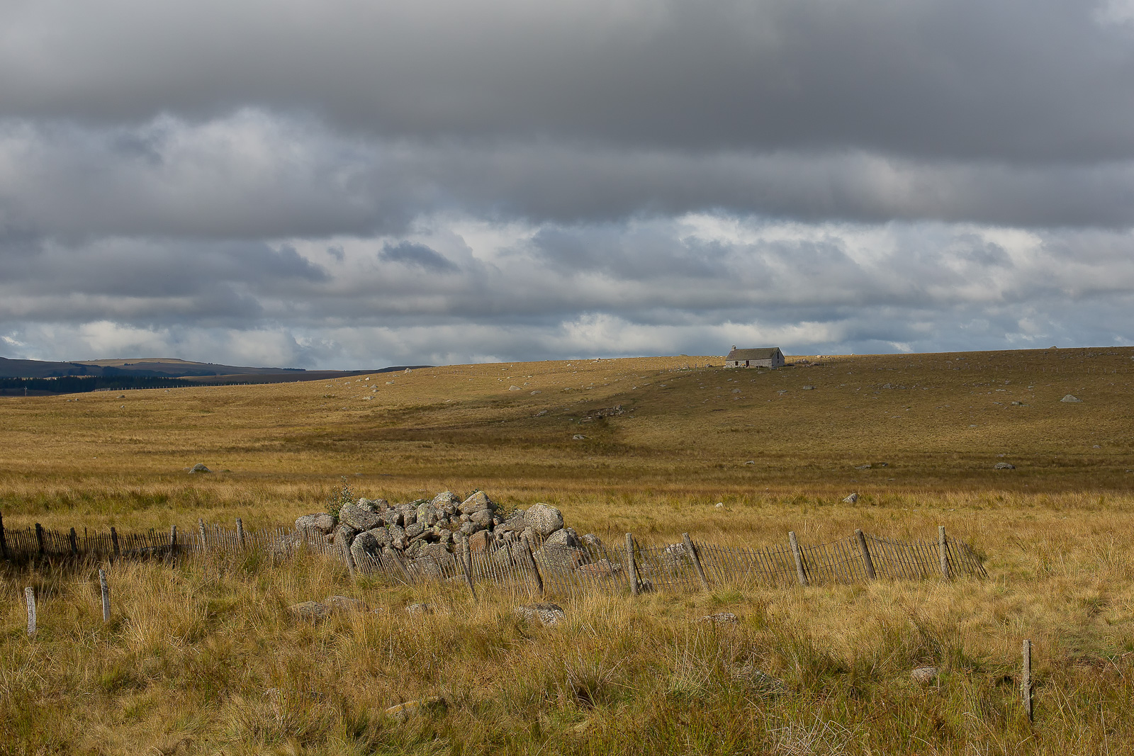 Tour des monts d'Aubrac paysage