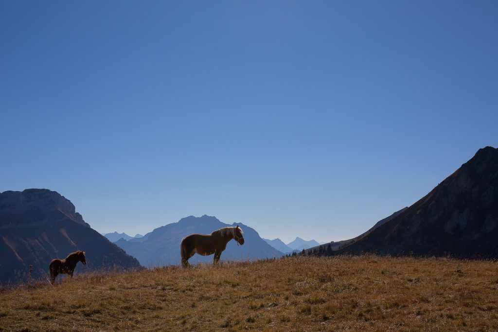 plateau des Glières