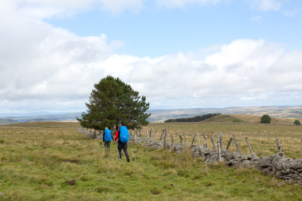 Paysage de l'Aubrac