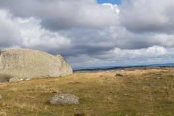 Tour des Monts d'Aubrac - Panoramique