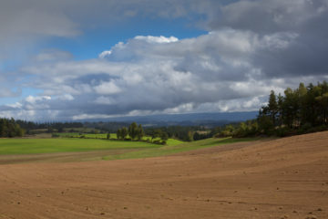 Paysage de l'Aubrac