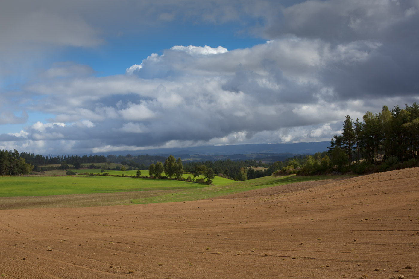 Paysage de l'Aubrac 