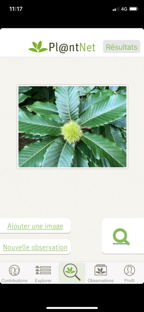 Plantnet - Option photo