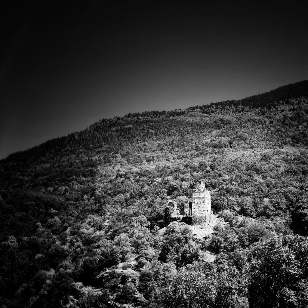 Projet 365 2018 - Château dans la forêt