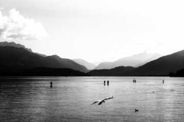 Projet 365 2018 - Marée basse sur le lac d'Annecy