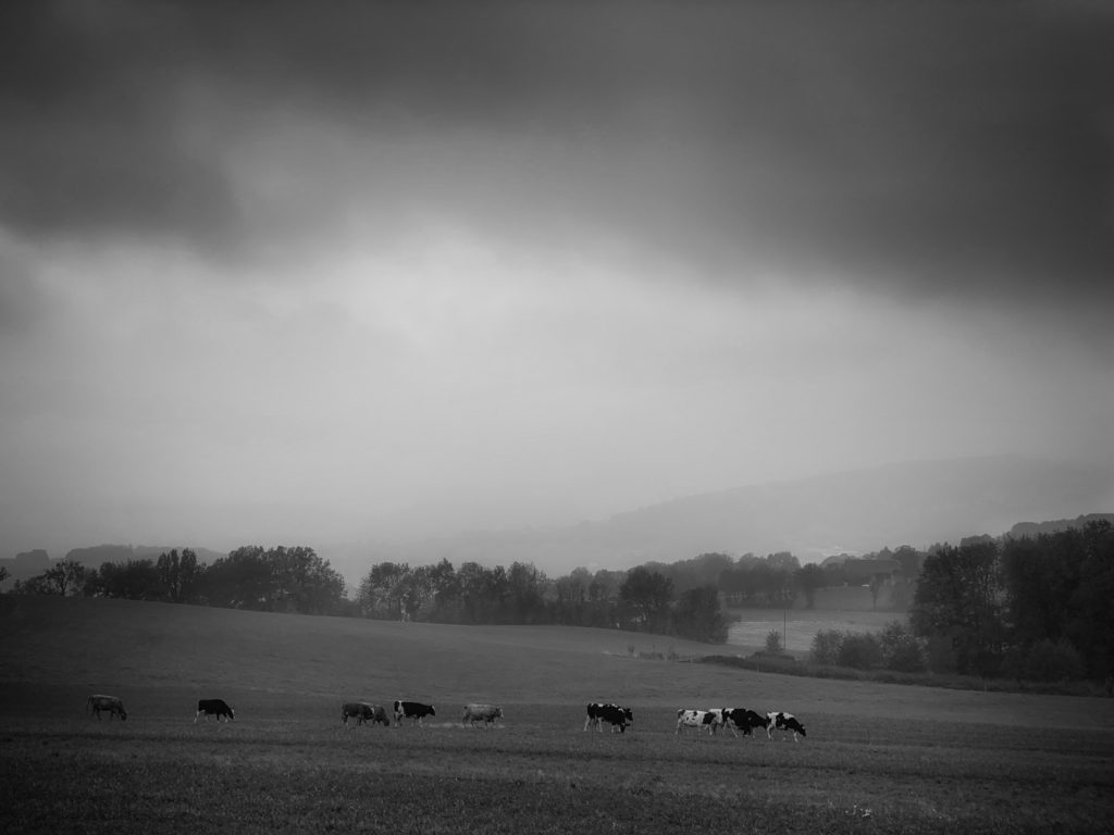 Projet 365 - Paysage champêtre