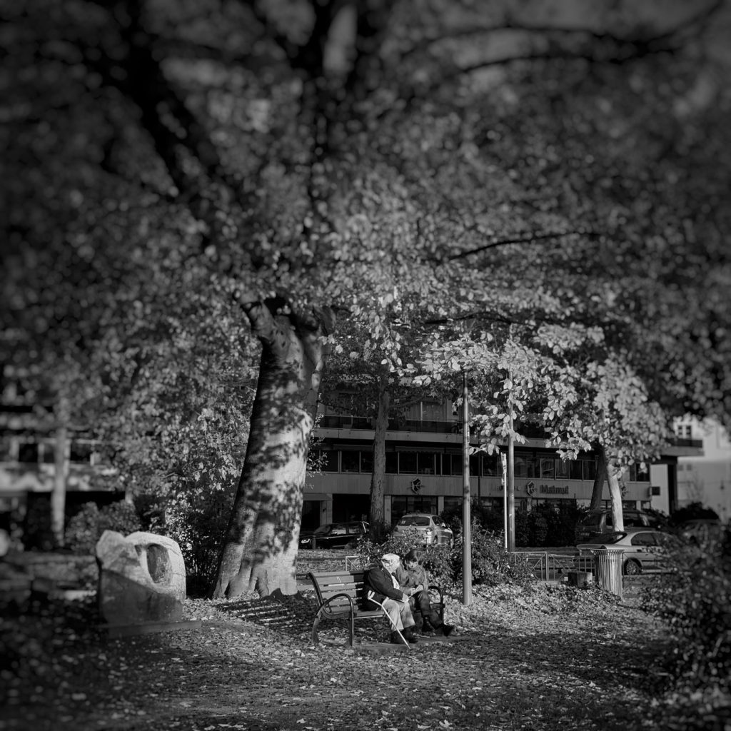 Projet photo 365 - Discussion sous un arbre