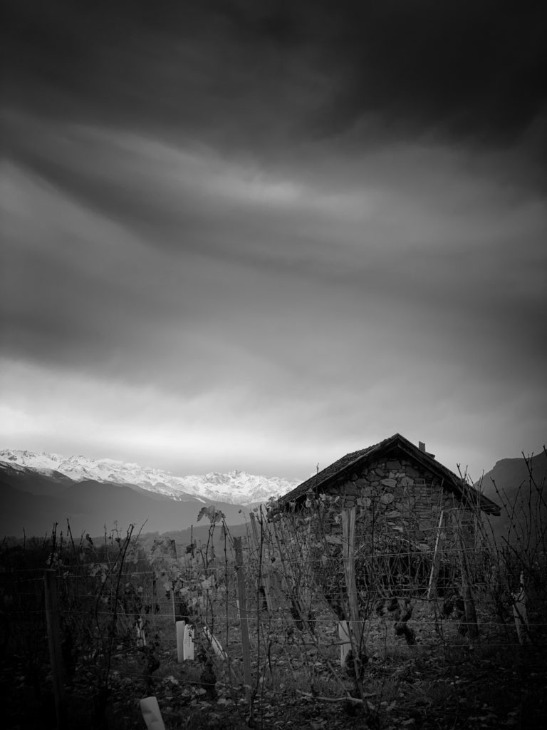 Projet photo 365 - Cabane dans les vignes