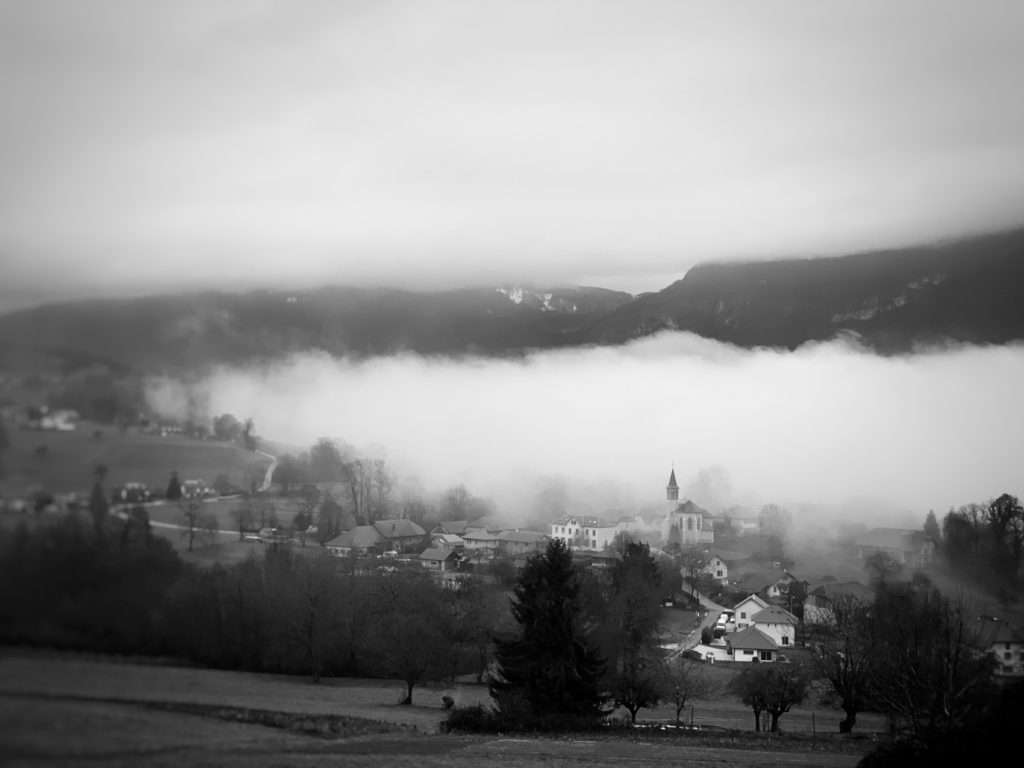 Projet 365 2018 - Epersy dans le brouillard