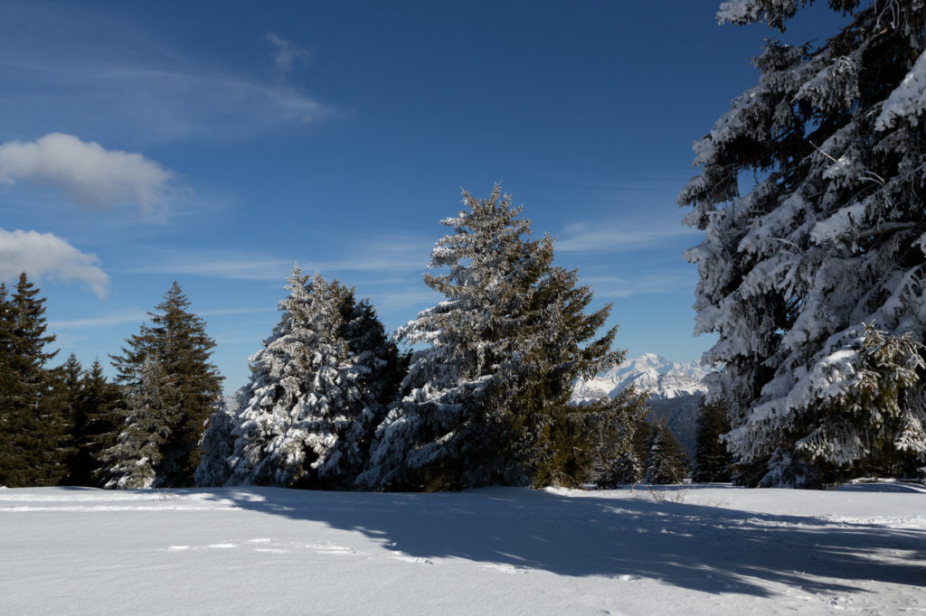 Projet 52 - Le Mont-Blanc depuis le Semnoz