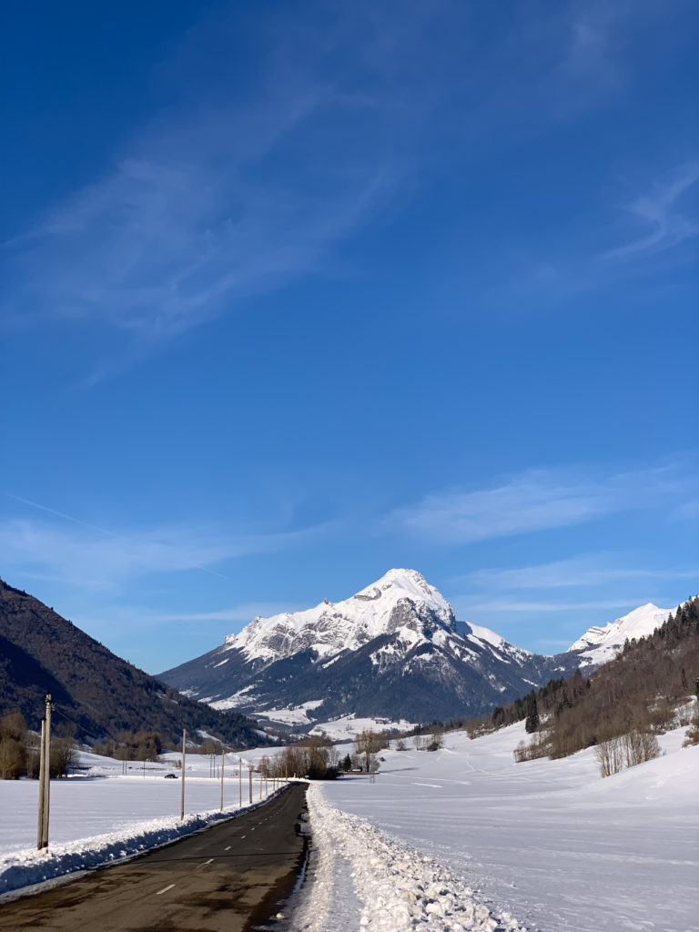 Projet 52 - Le Trélod