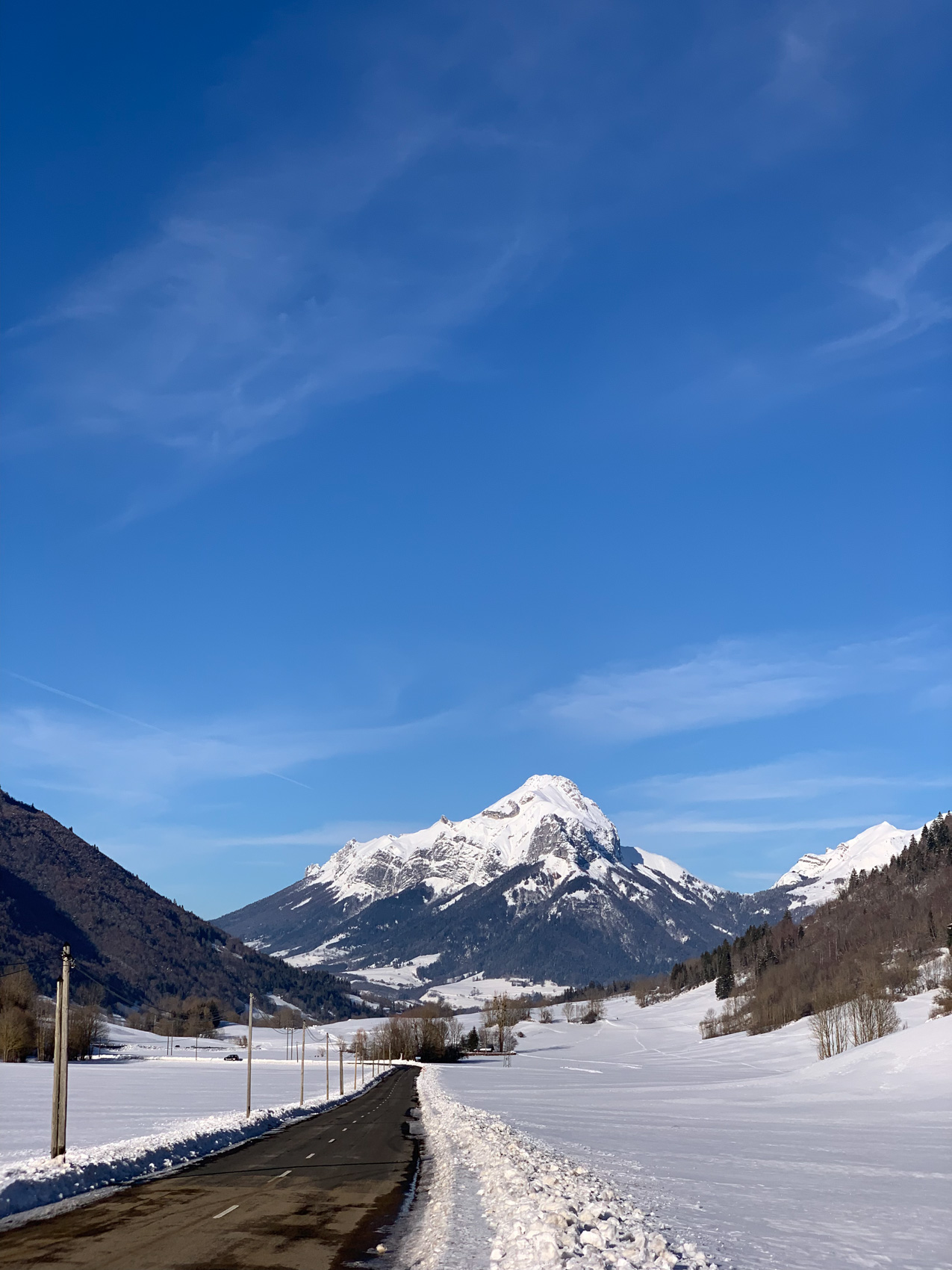 Projet 52 - Le Trélod