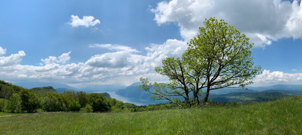 Projet 52 - Panoramique montagne de Cessens