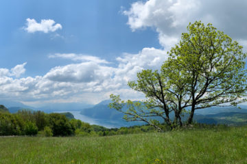 Projet 52 - Panoramique montagne de Cessens