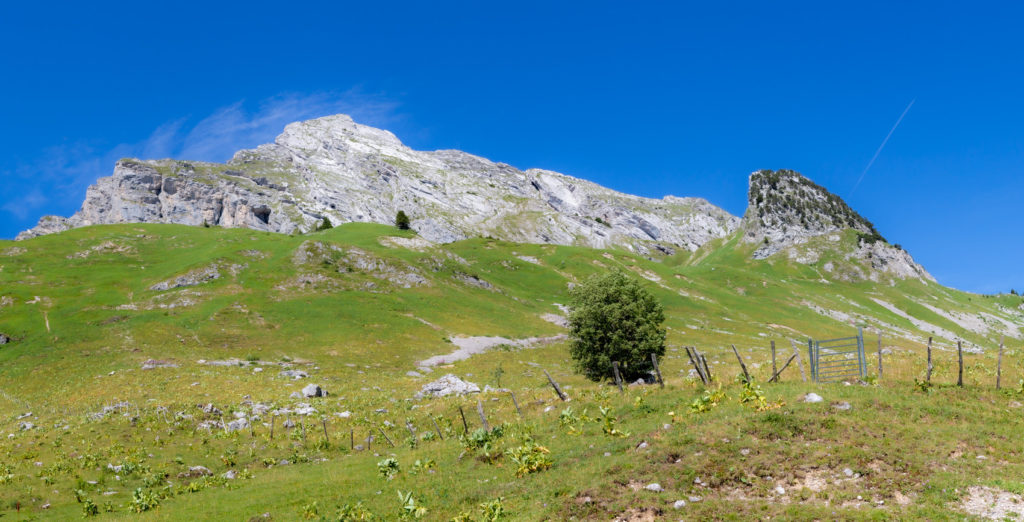 Au pied de l'Arcalod