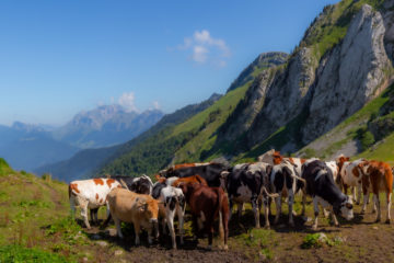 Panorama depuis le col de Chérel