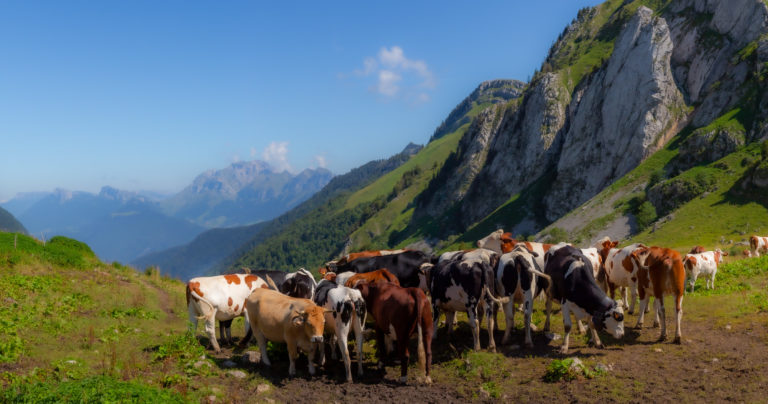 Panorama depuis le col de Chérel