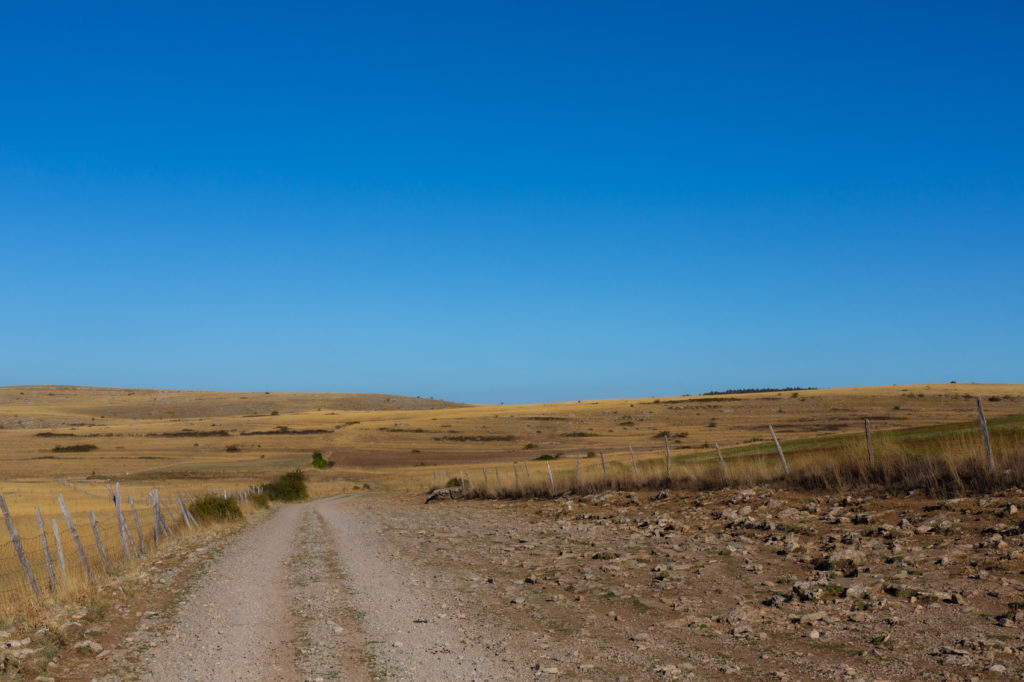 Paysage du causse