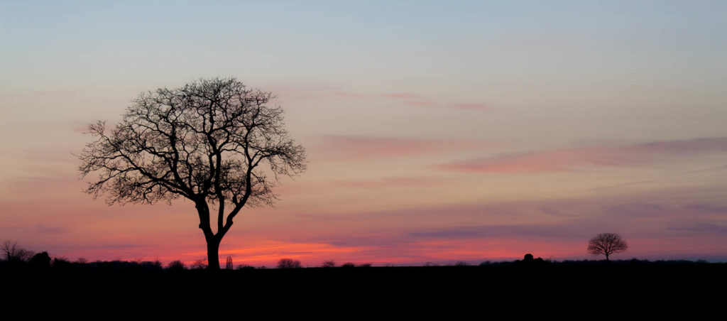 Coucher de soleil dans la Brenne