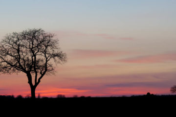 Coucher de soleil dans la Brenne