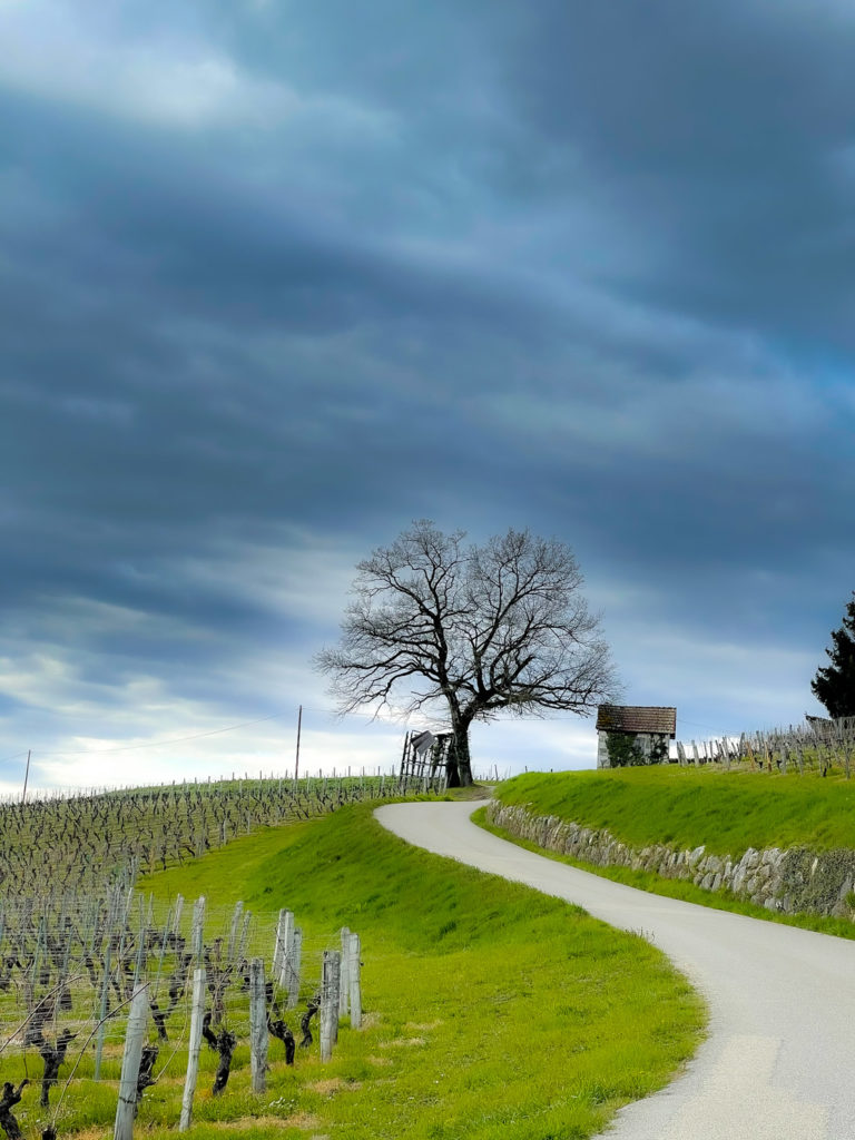 Sur les routes de Savoie