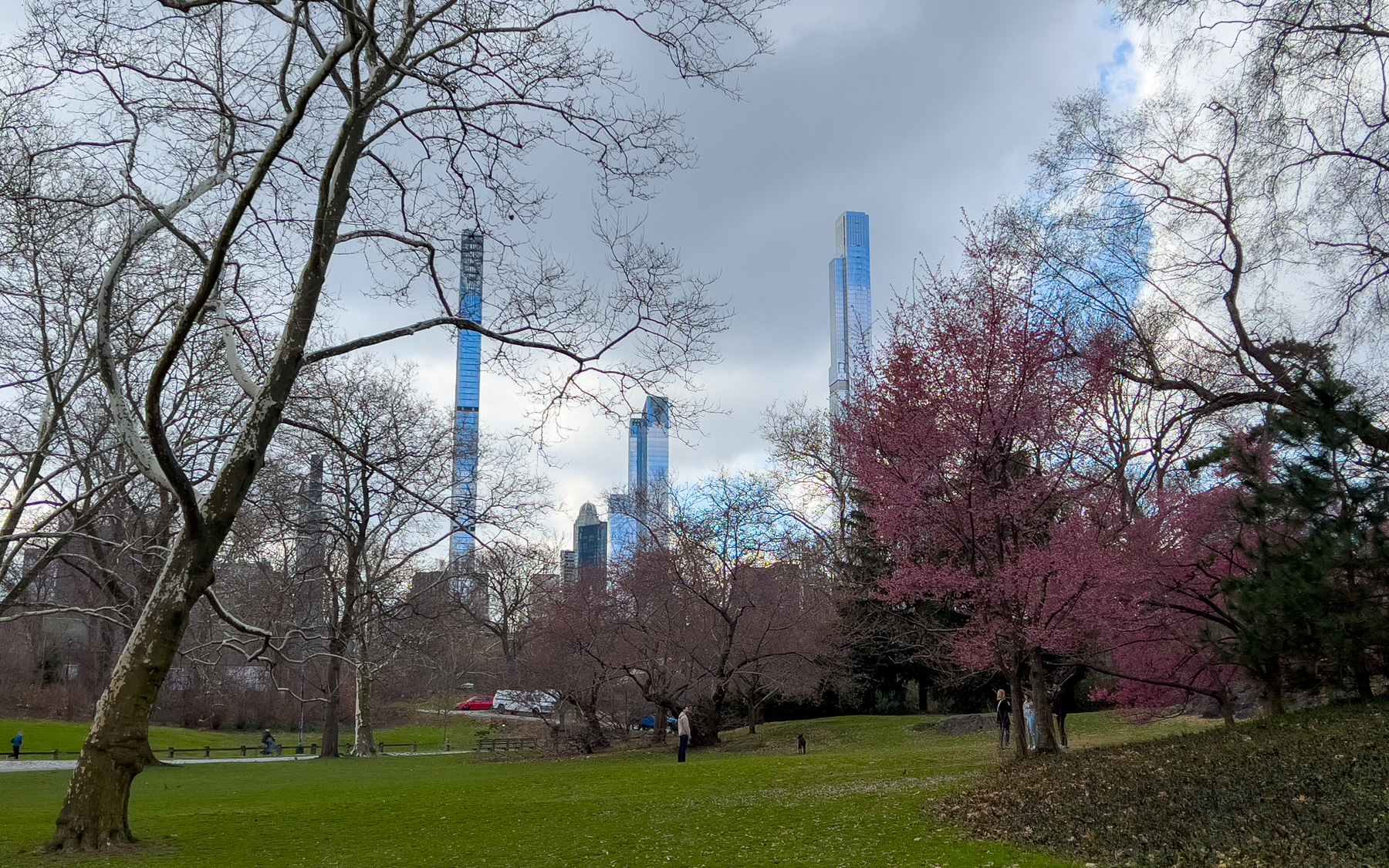 Buildings de Manhattan depuis Central Park