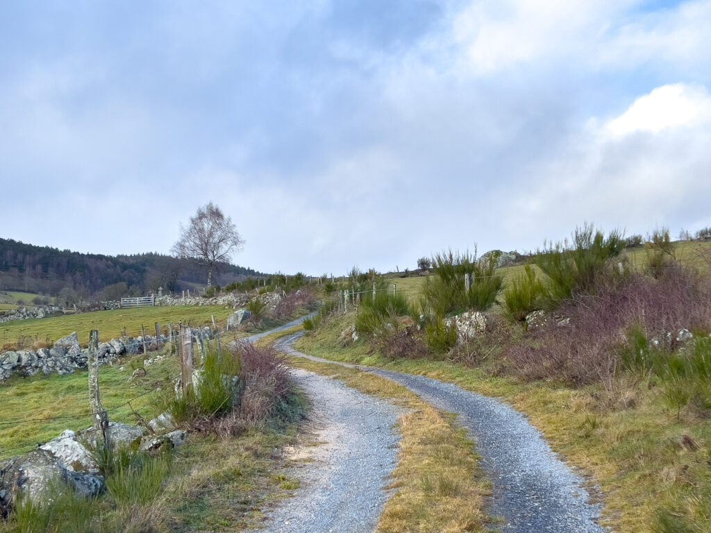 Petit sentier en Aubrac