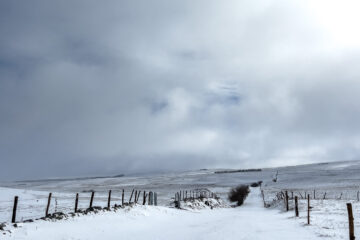 A travers l'Aubrac en hiver