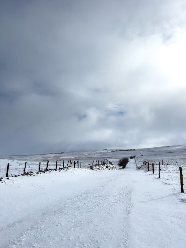 A travers l'Aubrac en hiver