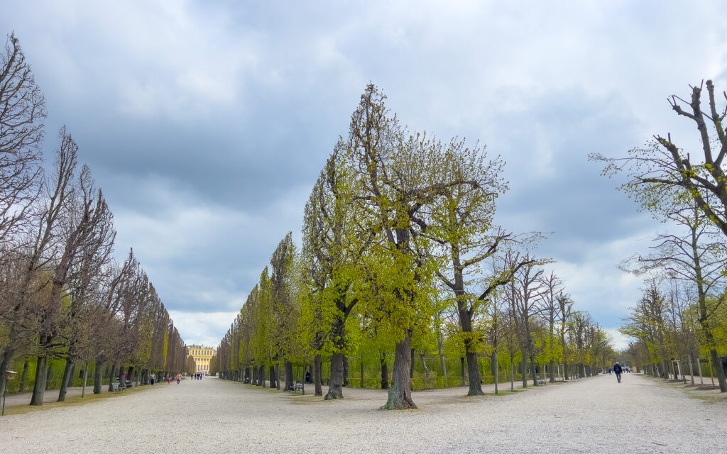 Vienne - Autriche - Parc du château de Schombrunn