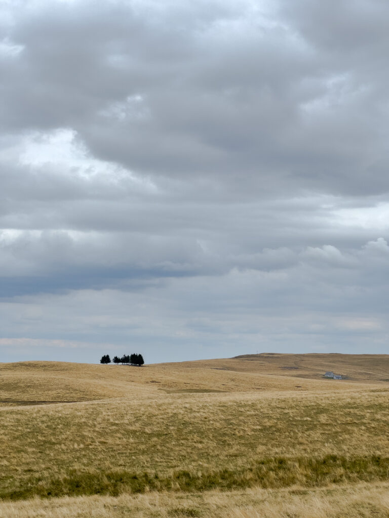 Paysage désertique de l'Aubrac